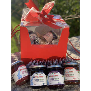 Le 4 Tuttofrutta "Light"